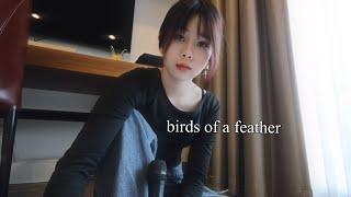 birds of a feather - cover by Krista