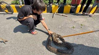 Subh-Subh Etna Bada Snake Aagya 