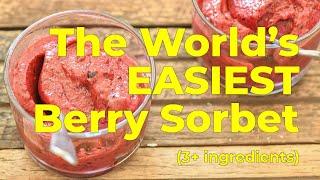 The Worlds EASIEST Berry Sorbet