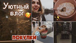 ВЛОГ - УЮТПервый снег ️ КНИЖНЫЙ ИЗ ХОГВАРТСА  Кекс в кружке  Покупки  Tanya Brighter