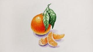 Уроки рисования. Как нарисовать мандарин how to draw a mandarin