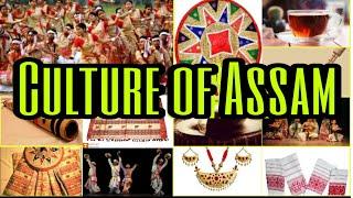 Culture of AssamThe rich culture regionAssamNorth East IndiaWind touch