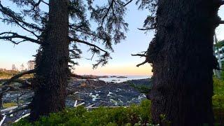 Ucluelet – Things to do in Ucluelet BC