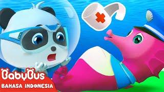 Bayi Panda Ajaib Membantu Kuda Laut Melahirkan Anak  Kartun Anak-anak  BabyBus Bahasa Indonesia