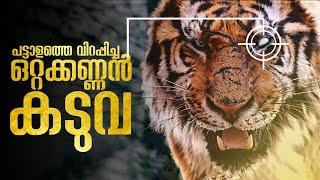The Tiger An Old Hunters Tale  Malayalam Explanation  Korean  Inside a Movie