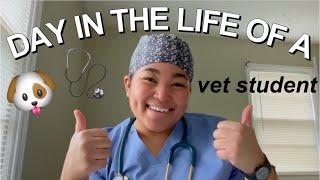 VET SCHOOL VLOG *day in the life of a 3rd year vet student junior surgery*