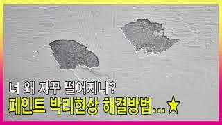 페인트 박리현상 해결방법ㅣ베란다 페인트 보수ㅣ페인트 갈라짐 떨어짐ㅣ바인더프라이머 작업ㅣ베란다 페인트 밑작업