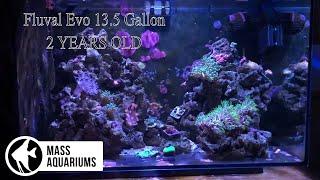 13.5 Gallon Reef Tank Fluval Evo Saltwater Aquarium 2 YEARS OLD