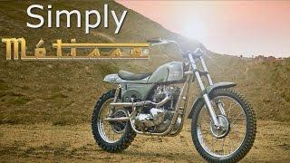 Cafe Racer  Scrambler Triumph Metisse Desert Racer