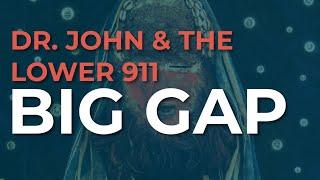 Dr. John & The Lower 911 - Big Gap Official Audio