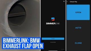 BIMMERLINK  BMW EXHAUST FLAP OPEN