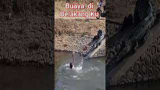 Buaya di Belakang Ku