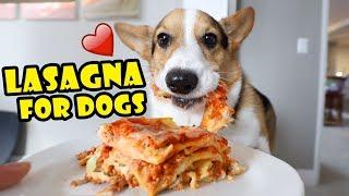 CORGI Trying Homemade Lasagna Dog-Friendly Gourmet  Life After College Ep. 652