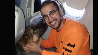 I Took My Dog on EgyptAir IN ARABIC WITH SUBTITLES  أخدت كلبي على طيارة مصر للطيران