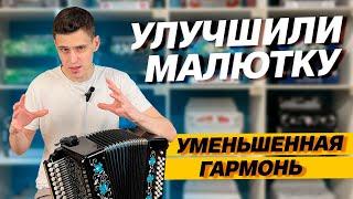 САМАЯ МАЛЕНЬКАЯ ПРОФЕССИОНАЛЬНАЯ ГАРМОНЬ  Уменьшенная заказная 23х25