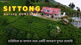 Best Homestay in Sittong  Gurung Homestay  চা বাগানে ঘেরা Homestay  North bengal Offbeat 