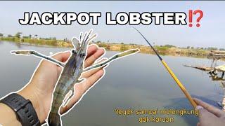 Mencoba Microfishing di Tambak Jackpot Udang Galah ⁉️ Mancing Wader Sulit Udang Galah Aja