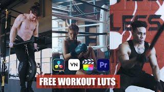 Free CINEMATIC WORKOUT Luts  How To Use Luts In Adobe Premiere Pro