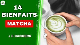 Thé Vert Matcha  Faut-il en boire tous les jours ? Bienfaits et dangers