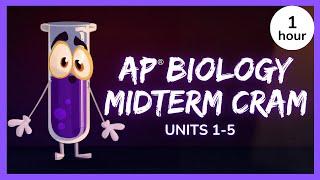 AP Biology Midterm Review  Biology Midterm 1 Hour Cram Session