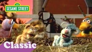 Barn in the USA Song Bruce Springsteen Parody  Sesame Street Classic