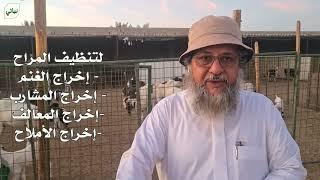 مربي الأغنام الأستاذ  خالد الغامدي أبو حمزة الزيارة الثانية