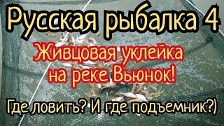 РР4. Где клюет живцовая уклейка на реке Вьюнок? А где подъемник для ловли живца?