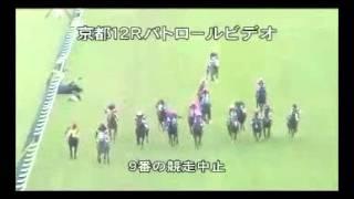 ルメール落馬　ラチ激突 京都12R　正面からの映像