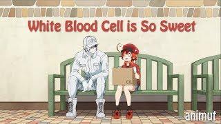 Hataraku Saibou Episode 8 White Blood Cell is So Sweet