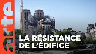 Notre-Dame de Paris le chantier du siècle 23  Lharmonie des forces  ARTE