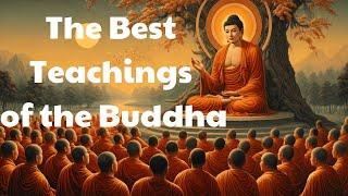 Buddhism Podcast  The Best Teachings of the Buddha  Mind Podcast