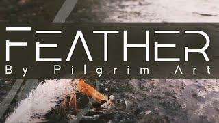  Piano music  Feather  by Pilgrim Art 