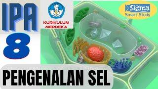 PENGENALAN SEL - IPA KELAS 8 SMP KURIKULUM MERDEKA