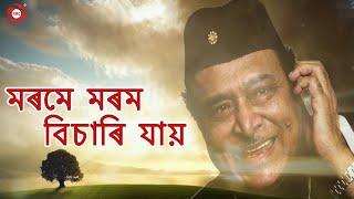 Mur Morome Morom Bisari Jai  Dr. Bhupen Hazarika  Morome Morom Bichare  Exclusive Lyrical Video