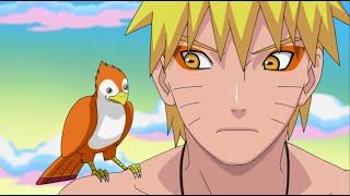 Naruto Has Become A Sage Surpassing Jiraiya Sensei Naruto cried when he saw Jiraiyas picture