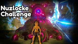 I Created a New Breath of the Wild Challenge. Its insane.