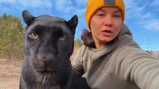 Forest walking with Luna the panther & Co ENG SUB