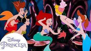 Conoce a las hermanas de Ariel #LaSirenita  Disney Princesa