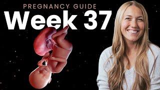 37 Weeks Pregnant  Week By Week Pregnancy