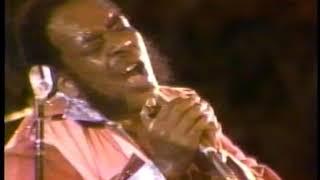 JAMES COTTON Live 1978 CANADA COTTON BOOGIEROCKET 88I DONT KNOWHELP MECOTTON THANGFEVER &