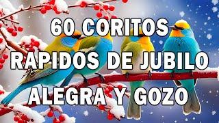 60 Coritos Rápidos De Júbilo Alegría Y Gozo  Coros De Fuego Pentecostes Alabanzas De Avivamien ️