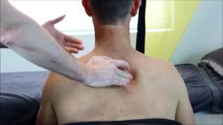 How to massage your partners upper back and neck A guide by a Professional Massage Therapist