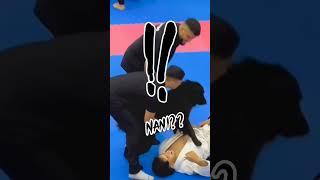 Jiu Jitsu Doggo to the rescue? #animals #funny #cute  #dog #puppy #comedy