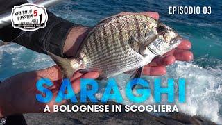 Pescare a BOLOGNESE i SARAGHI in Scogliera  Sea Bolo Passion » Sea BOLO Passion S5E3