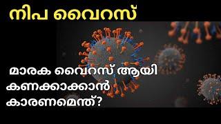 Nipah Virus Outbreak History Malayalam #nipahvirus