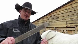 How To Shed Off Your Horse...FAST