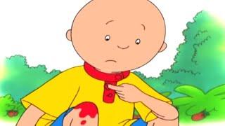 Aventuras de Caillou  Caillou en Español - WildBrain