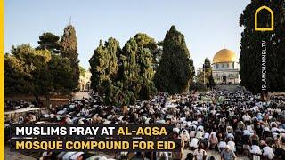 Muslim worshippers at Jerusalems Al-Aqsa mosque compound gather for Eid prayers