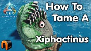 ARK How To Tame A Xiphactinus - With Good Trap