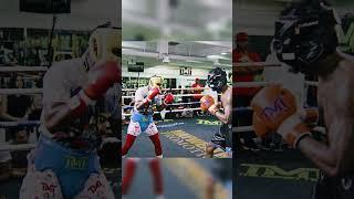 Floyd Mayweather Jr. counterattacks during a sparring session.